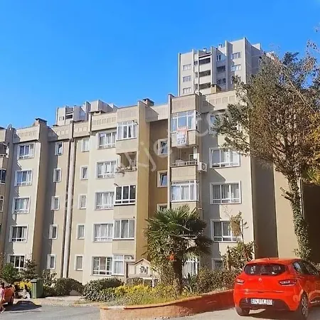 Comfortable Peaceful Full Flat